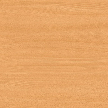 Столешница Бук Рейнланд (2027/S)