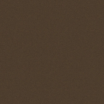 ЛДСП Бронзовый Век (8348)