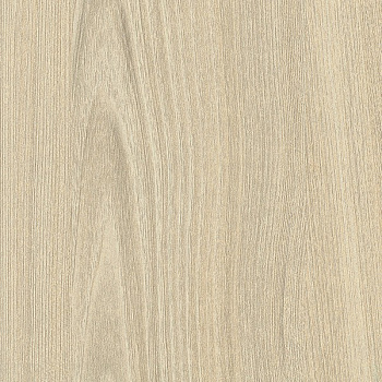 ЛДСП Вяз Тоссини белый (H1701)