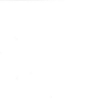 ЛДСП Белый (U1655)