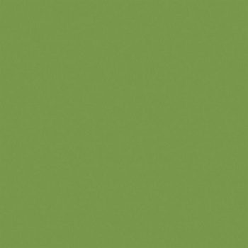 ЛДСП Зелёный киви (U626)