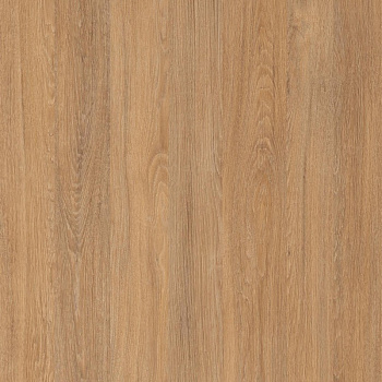 Столешница Дуб Сантана (5521)