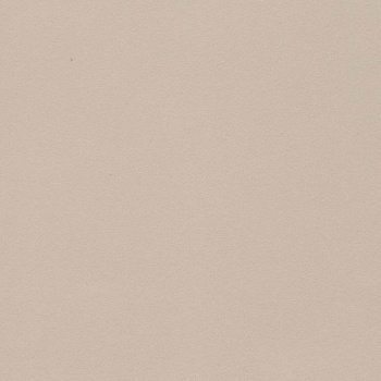 ЛДСП Фон Бежевый (7119)