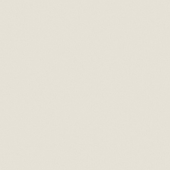 ЛДСП Бело-серый (U775)