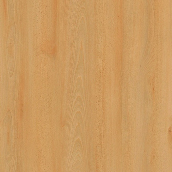 ЛДСП Бук луговой (H1910)