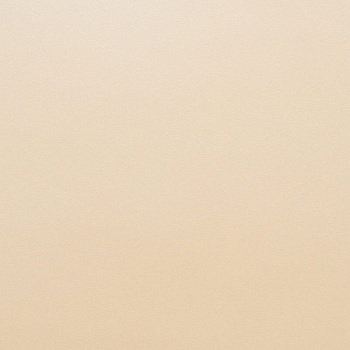 Стеновая панель Ваниль (1012/S)