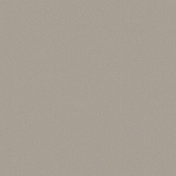 ЛДСП Алюминий (F509)