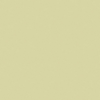 ЛДСП Зелёный васаби (U617)