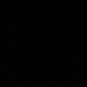 ЛДСП Лес чёрный (U998)