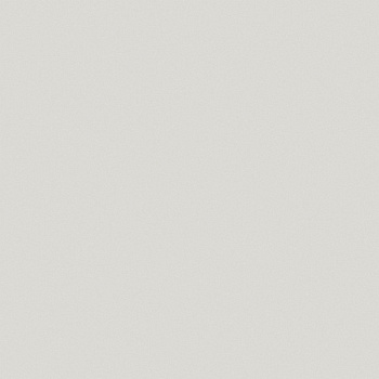 ЛДСП Серый Светлый (3890)