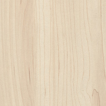 ЛДСП Клён сахарный шампань (H3860)