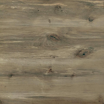 Столешница Береза Сандал (521/СД)