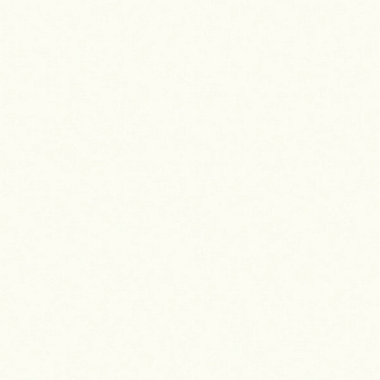 ЛДСП Белый премиум (W1000)