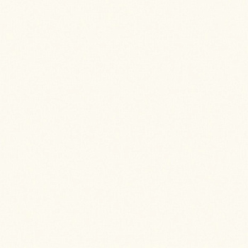 ЛДСП Белый базовый (W908)