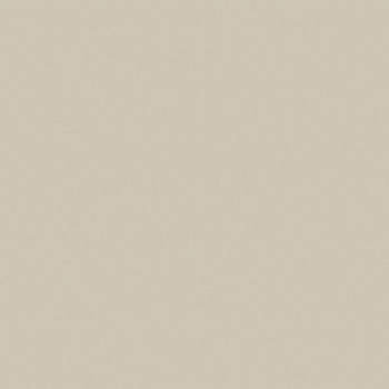 ЛДСП Ярко-серый (U750)