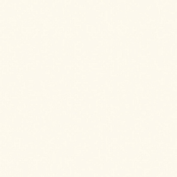 ЛДСП Белый платиновый (W980)