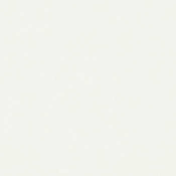 ЛДСП Белый классический (W960)